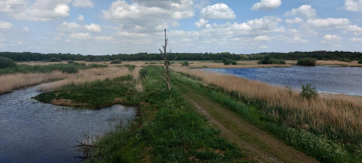 BrutusFCE's tweet photo. Prachtig mooie plek in #Drenthe #Diependal #Hijken https://t.co/uYwYV27KDx