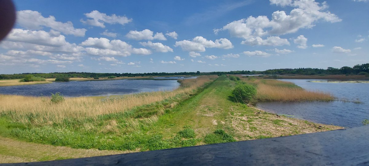 BrutusFCE's tweet photo. Prachtig mooie plek in #Drenthe #Diependal #Hijken https://t.co/uYwYV27KDx