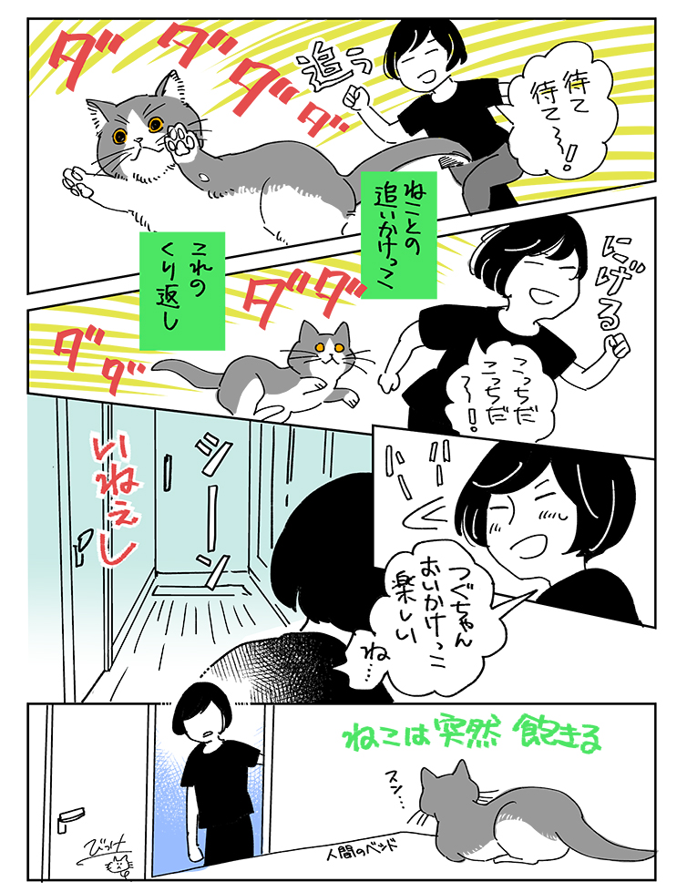 ねこと追いかけっこ 