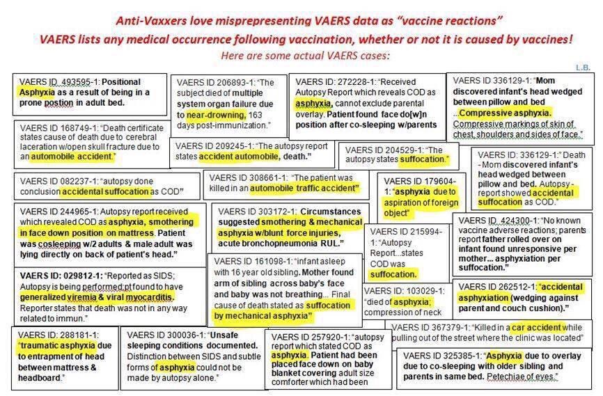 Dr Anne Condon tweet media