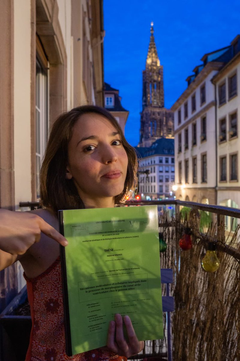 Vermot Lab tweet media