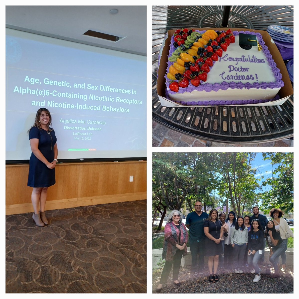 Anjelica Cárdenas, PhD 👩🏾‍🔬🧠💊🧬 tweet media