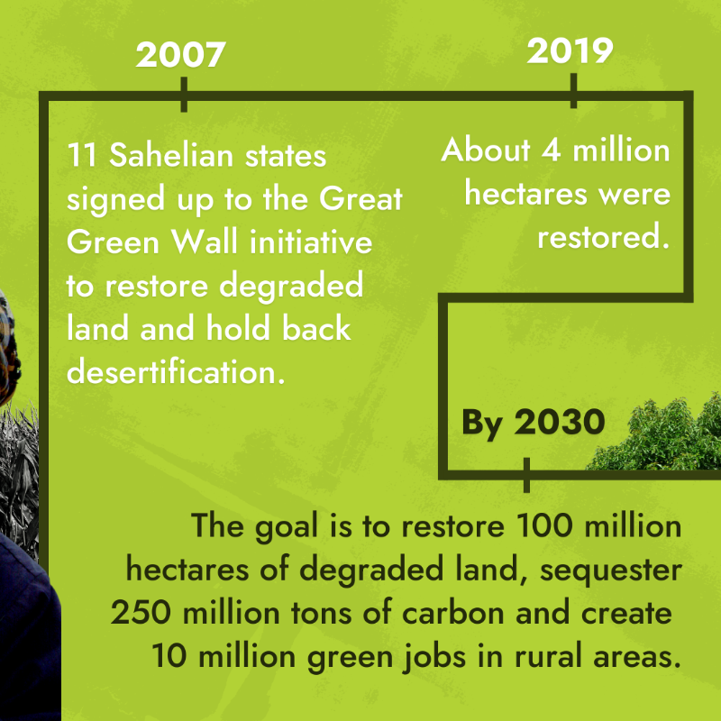 IFAD's tweet photo. When the Great Green Wall will be completed, the benefits will be felt across the Sahel and the whole world 🌱🌍
