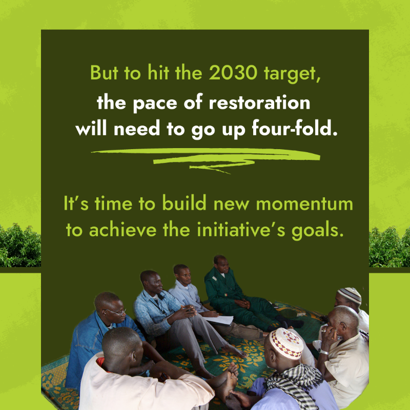 IFAD's tweet photo. When the Great Green Wall will be completed, the benefits will be felt across the Sahel and the whole world 🌱🌍