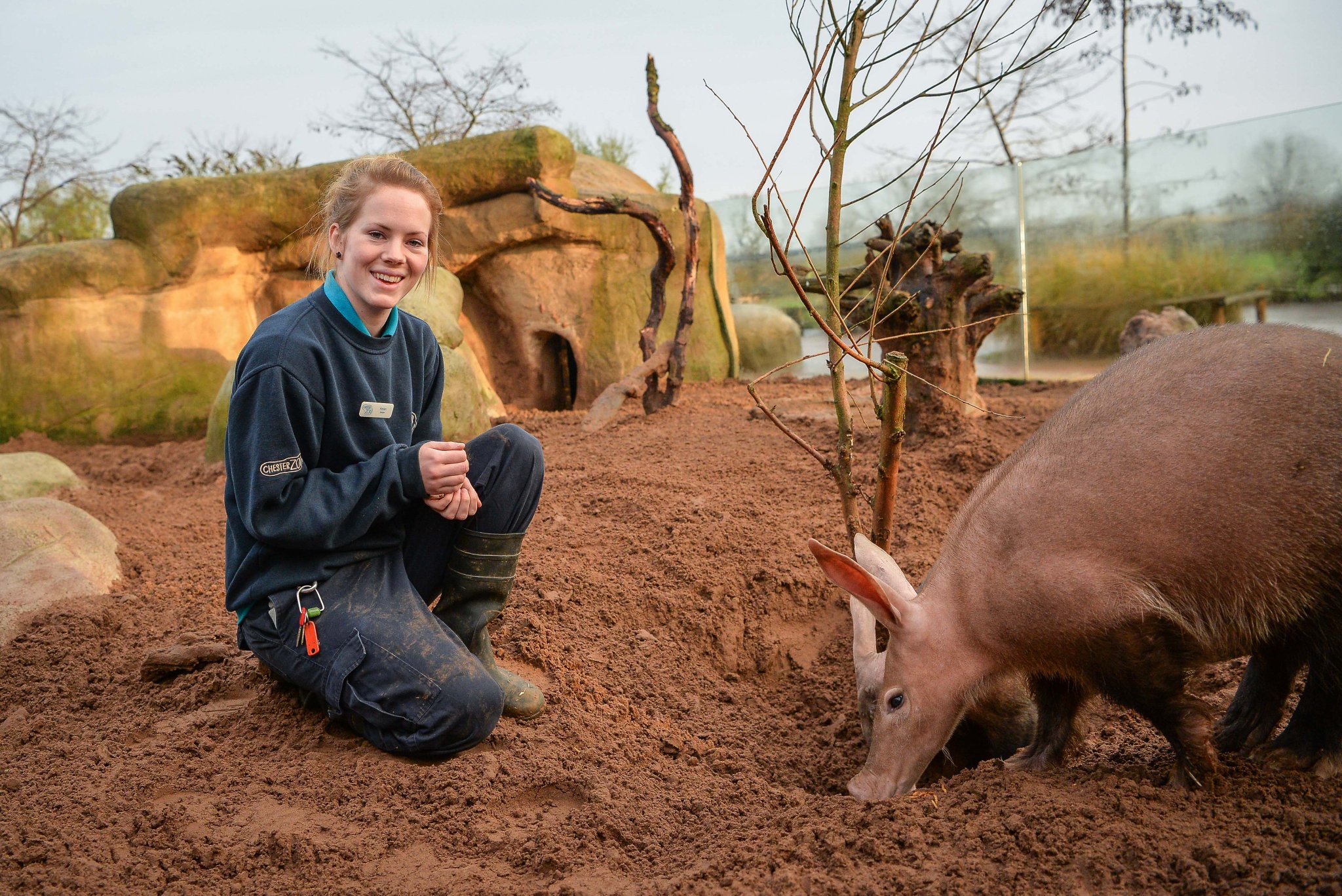 Chester Zoo on Twitter "🚨 Our BRAND NEW animal apprenticeship scheme 🚨