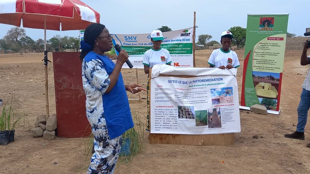 WorldWaternet's tweet photo. Ever heard of 'phytoremediation'? This involves the use of plants to extract and remove pollutants in soil. Talking about natural #ingenuity! On 29 April, this technology was launched by the ECDD project in #Nimbrogo near the town of #Ziou #BurkinaFaso. @SNVworld #NLinBurkina https://t.co/3CdgG7XjI3