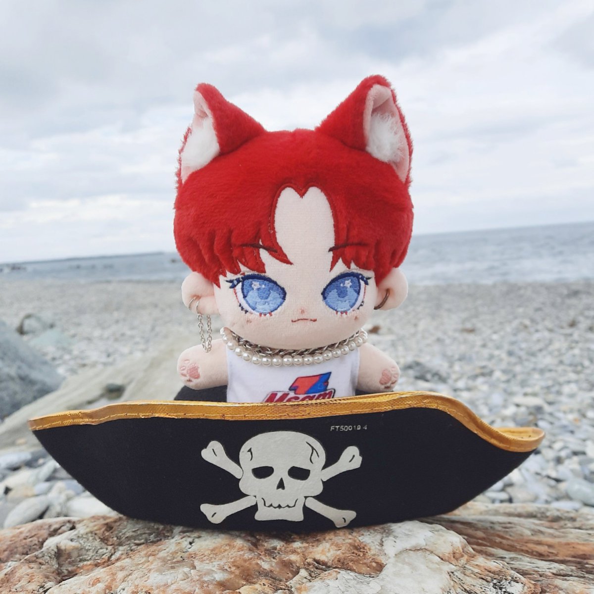 喵中 냥중 tweet media