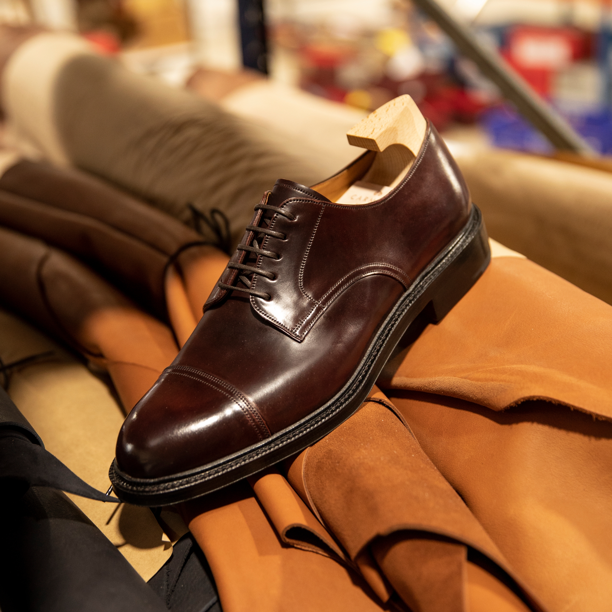 Carmina blucher store