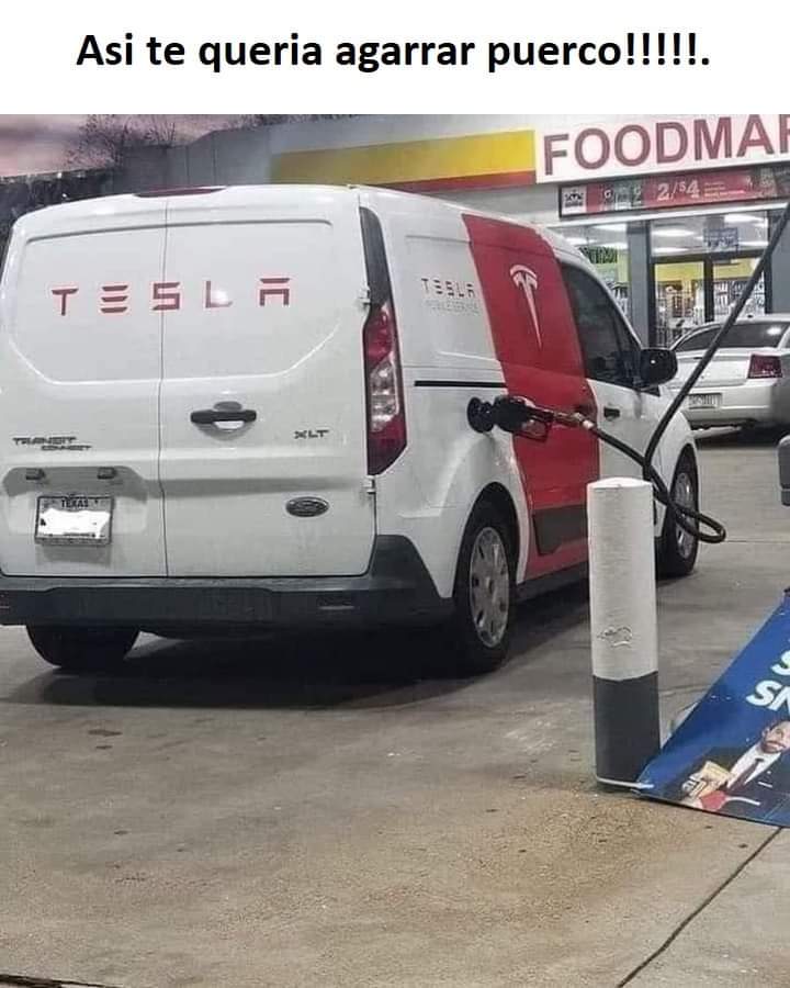 MaisonFelipe's tweet photo. Jiji @elonmusk https://t.co/2WJCDMPqZV