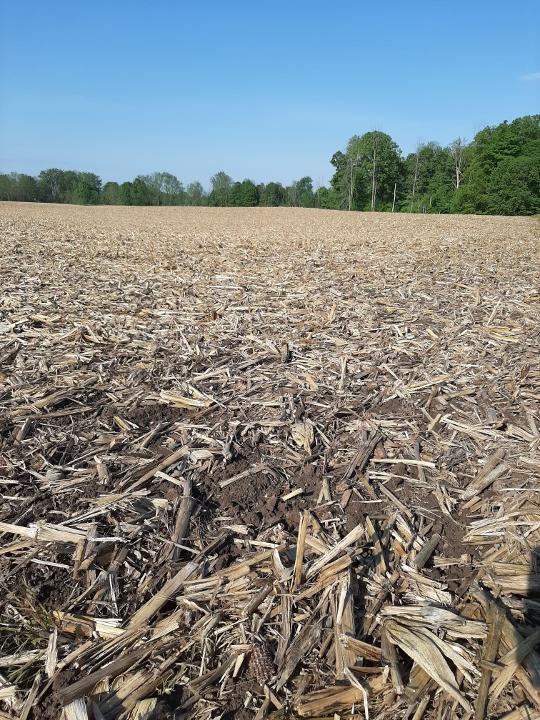 AndersonsCanada's tweet photo. Min till, no till, strip till, conventional till......corn and beans are going in! Grain marketing might not be the first thing on your mind right now. To be ready for Thursday's noontime USDA report, give your Andersons Grain Originator a call to discuss Market Orders. #ontag https://t.co/aWlZ0y6tLa