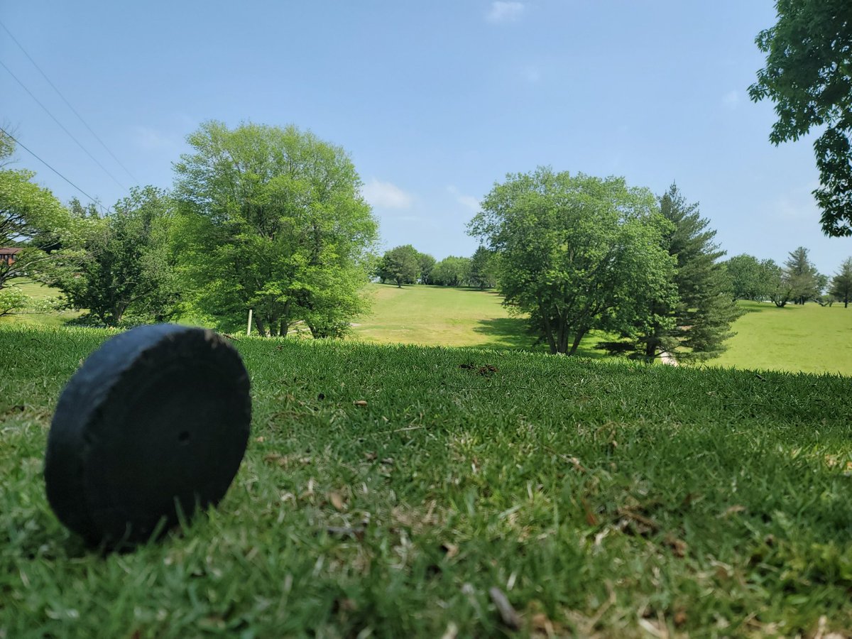 WillowOaksGolf's tweet photo. It’s too beautiful not to be playing golf! ⛳️ #wednesdaythought #betterinthebarrens #golftalk #wogc https://t.co/WTsanG1cMD