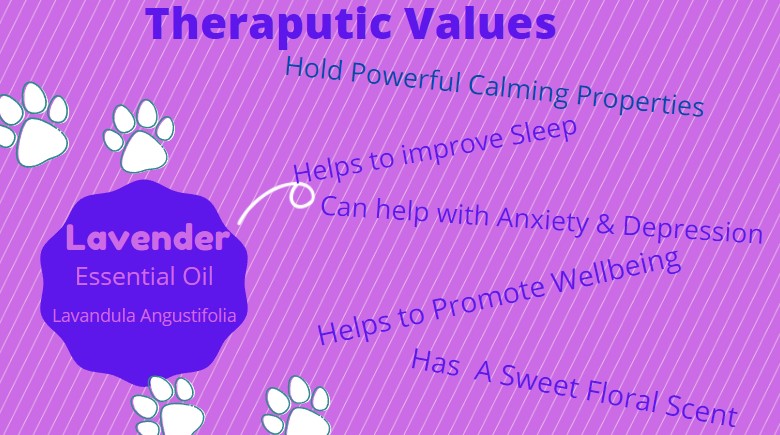 Do you know the best thing about our lavender products? 
They are all Dog Friendly 🐕🐾🐕
Come see our range
 #lavender #lavenderlove #lavenderessentialoil  #dogs  #doglover #dogfriend #dogfriends #dogfriendly  #aromatherapy #AromatherapyProducts  #queenofessentialoil #QueenOf
