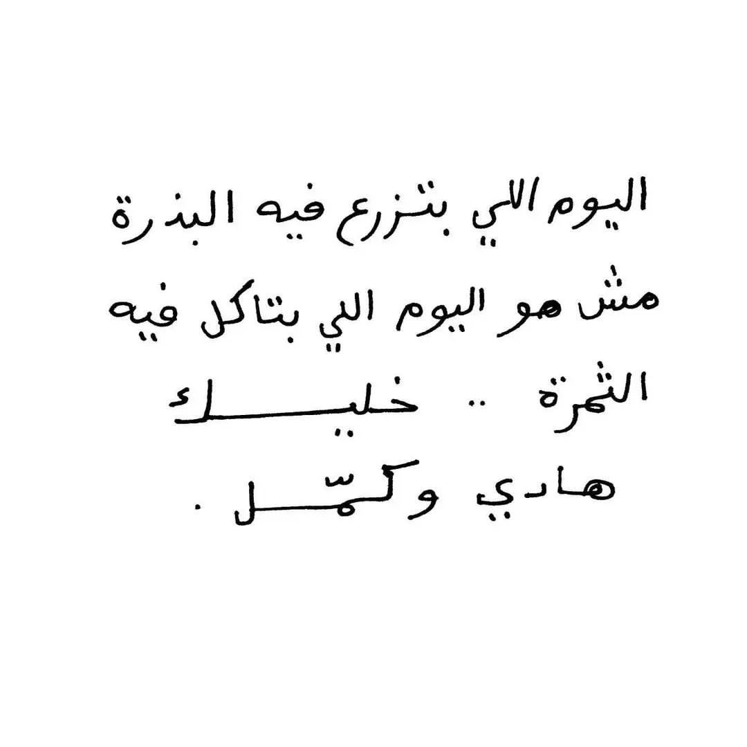 cai_mockingbird's tweet photo. خليك هادي وكمِّل..

Photo by: _136i https://t.co/hHQJv9p1Eo