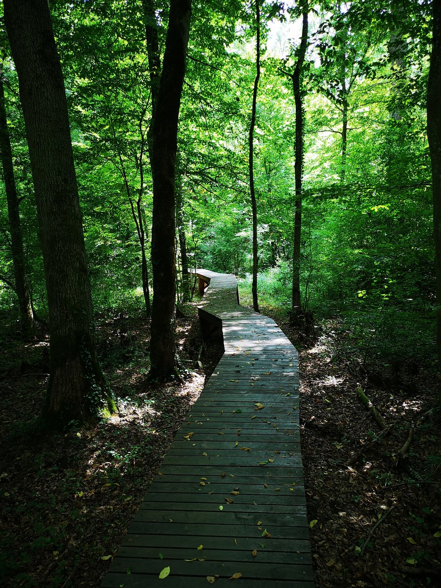 KAZ 🇭🇷 ⰽⰰⰸ tweet media