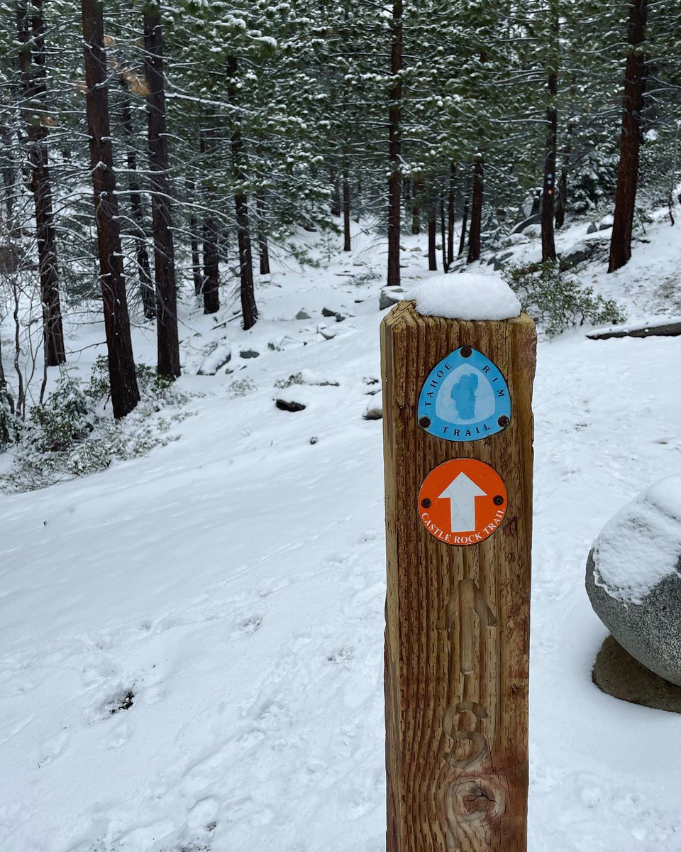 TahoeRimTrail's tweet photo. Tahoe Rim Trail condition reports since this last spring snowfall. Photos from Castle Rock connector trail at Kingsbury North, Echo Lakes Marina, and Lower Echo Trail. https://t.co/DN4XUIos5z