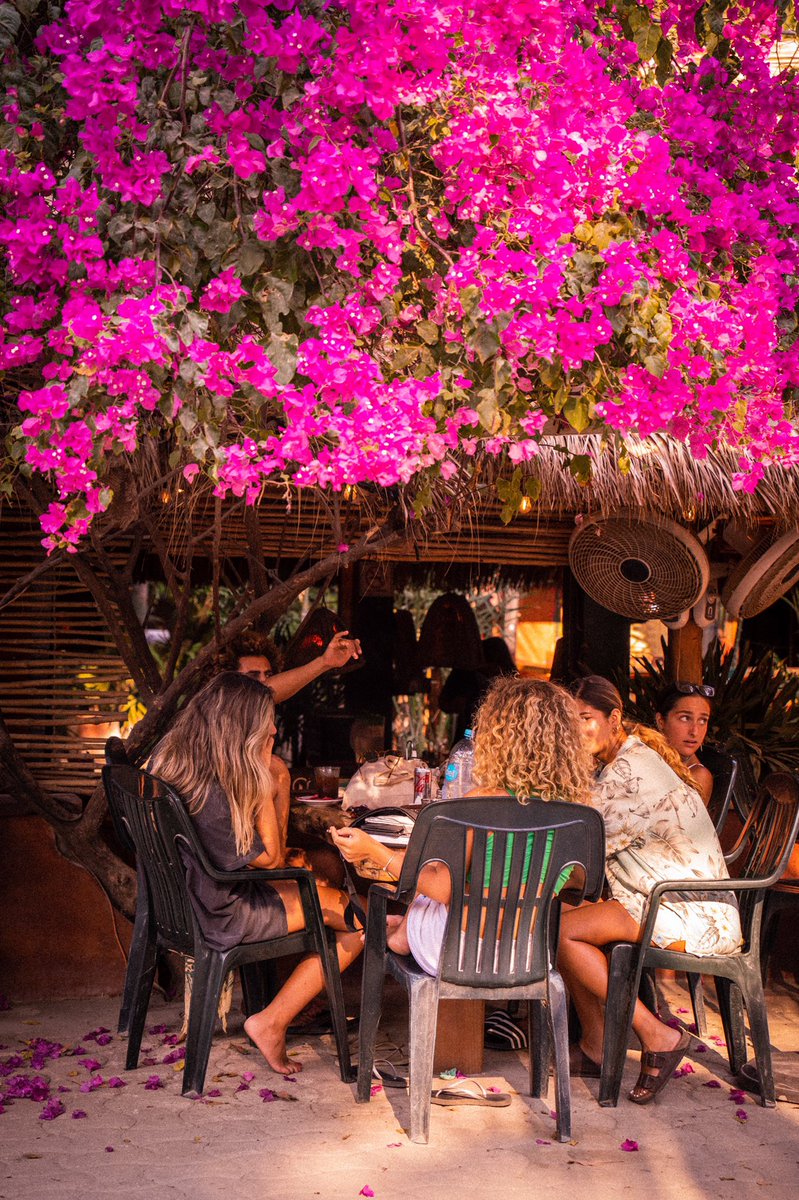 michaelwingsit's tweet photo. girlies who brunch

📍#PuertoEscondido #Oaxaca https://t.co/DL8Y6qFomC
