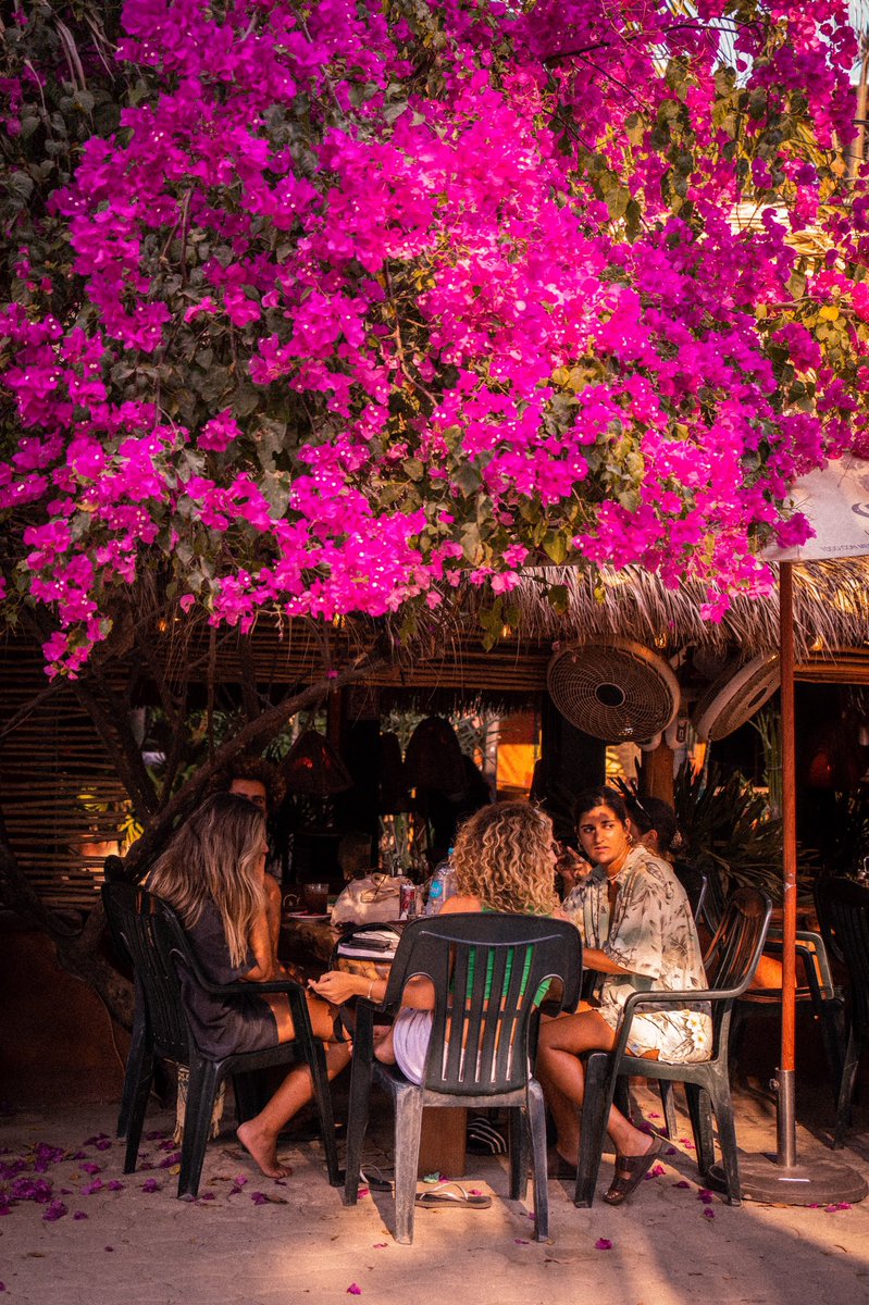 michaelwingsit's tweet photo. girlies who brunch

📍#PuertoEscondido #Oaxaca https://t.co/DL8Y6qFomC