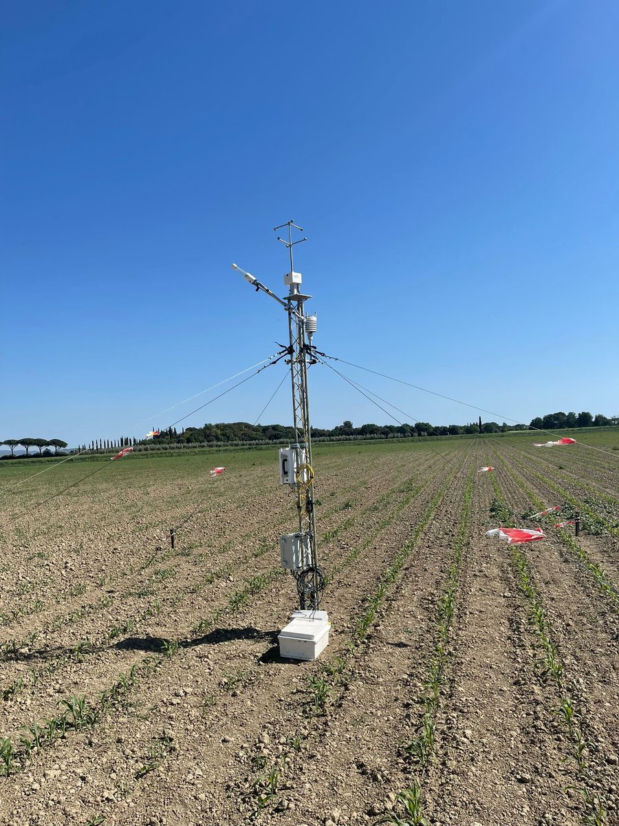 mlangsdale1's tweet photo. The corn in this field is tiny now but will grow to 2+ metres before it’s harvested! We’ll be measuring the #evapotranspiration throughout with our #NCAS #fluxtower https://t.co/LAikgfnYlI