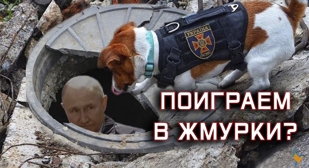 youtu.be/u0vKDtysQY8
России не спрятаться. NATO теперь везде.
- Обращение Нудного Пенса к западным СМИ.
- NATO окружают россию.
- россия не сможет восстановиться.
- ООН забеспокоились.
#YouTubeKyiv #RussianUkrainianWar #Russian