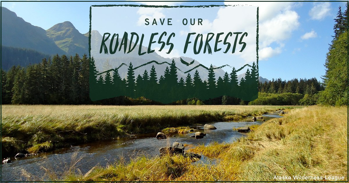 alaskawild's tweet photo. #ClimateForests are worth more standing and the Tongass National Forest is the biggest climate champ of all. Thank you @RepRaulGrijalva @RepJoeNeguse @RepRubenG and @RepDianaDeGette for moving the Roadless Area Conservation Act forward. #SaveRoadless #ProtectTheTongass https://t.co/Ejlxa5x1Wy