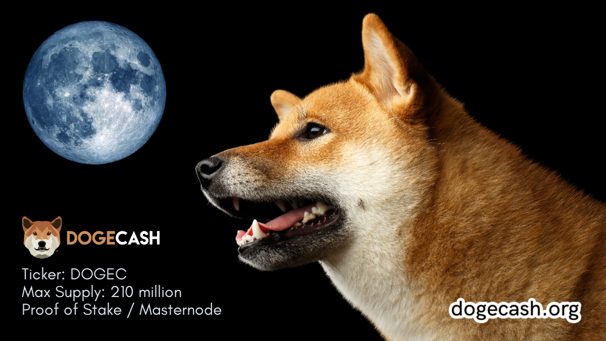 dogecashcoin photo
