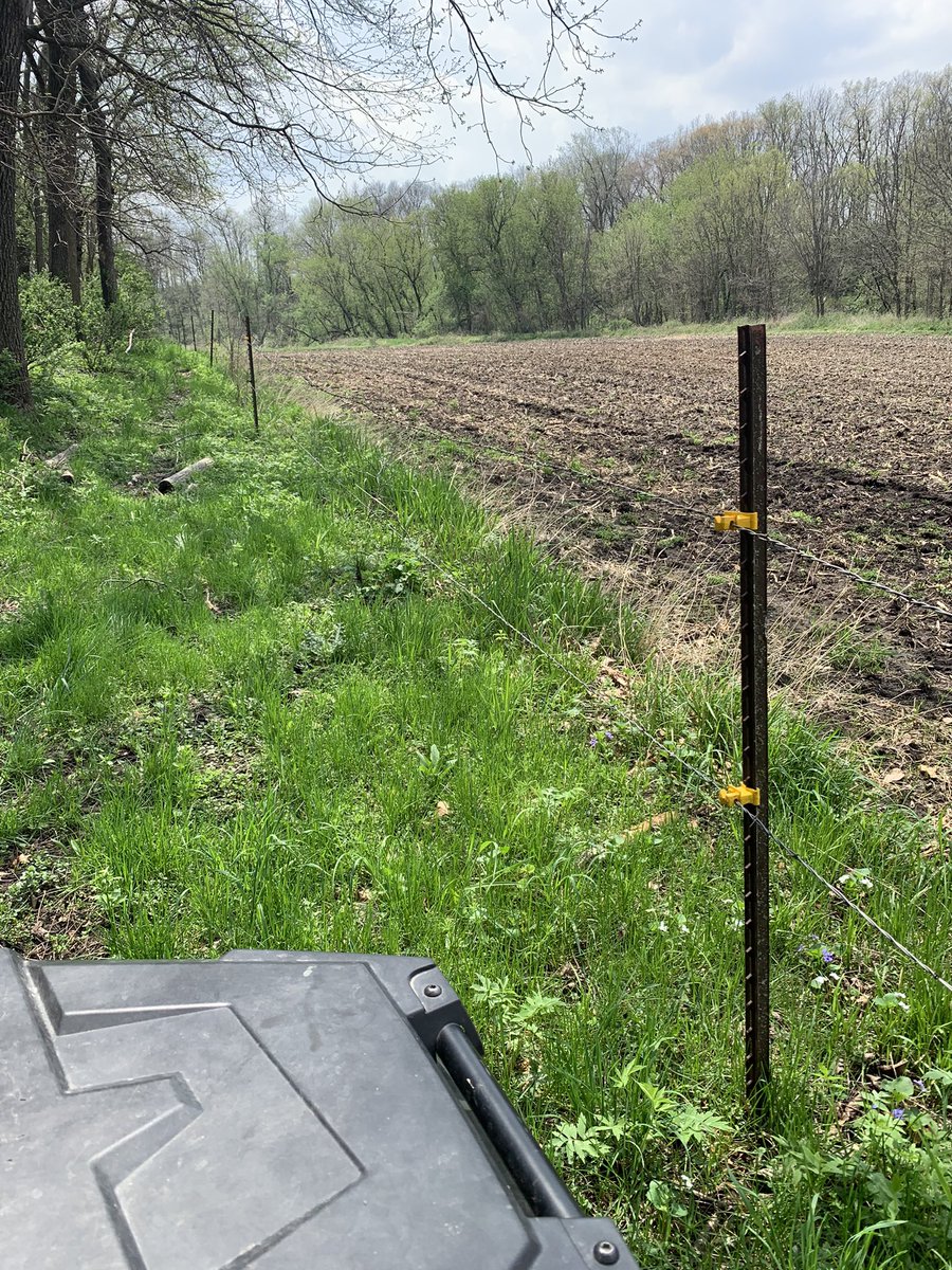 SammyHoeger's tweet photo. What do you do when it’s to wet to get into the field to plant corn 🌽 you get on pasture fences done &amp; cattle turn them out then work on the fences in the other pasture #mayisbeefmonth #beef #agriculture #BeefMonth https://t.co/PB774ezw4R