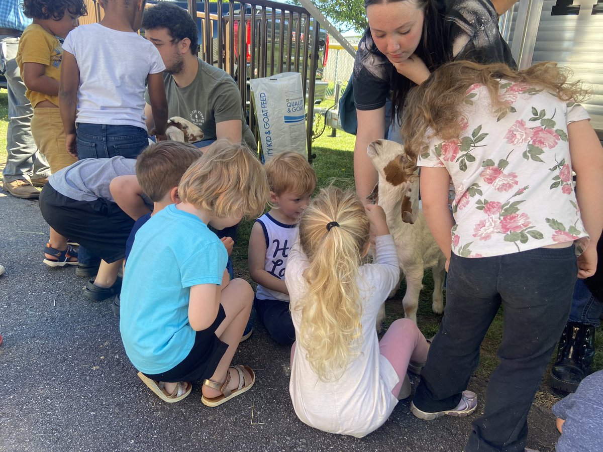 MCSHeadStart's tweet image. Thank you MHS Agriculture class for bringing the baby goats to Head Start! The students loved it!! #BringingLessonsToLife @mcscte @MaryFinley13 @aclarkadams @adam_keith97 @mrmarkgarrett @McDowell590 @MHSTitans