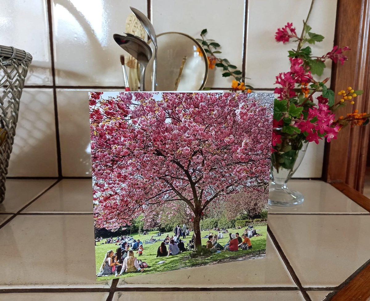KellyCardsLtd's tweet photo. Stephen's Green Dublin such a sociable place in the heart of Dublin. Send someone a card and arrange an outing. Kelly Cards Irish greeting cards blank all occasion cards made in Ireland.
#cherryblossom #summer #dublin #stephensgreen https://t.co/xUh0J0Qrco