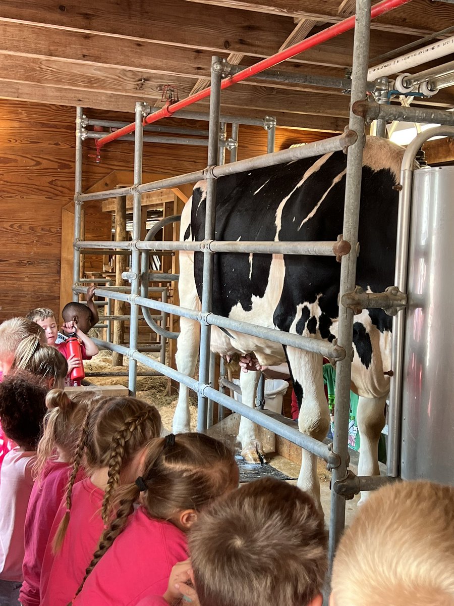 KellisonKinder's tweet photo. Field trip to Purina Farms was a success!!!🐷🐴🐓🐄🚜🐕🐈🐇🐾 https://t.co/vbGsKNW4kE