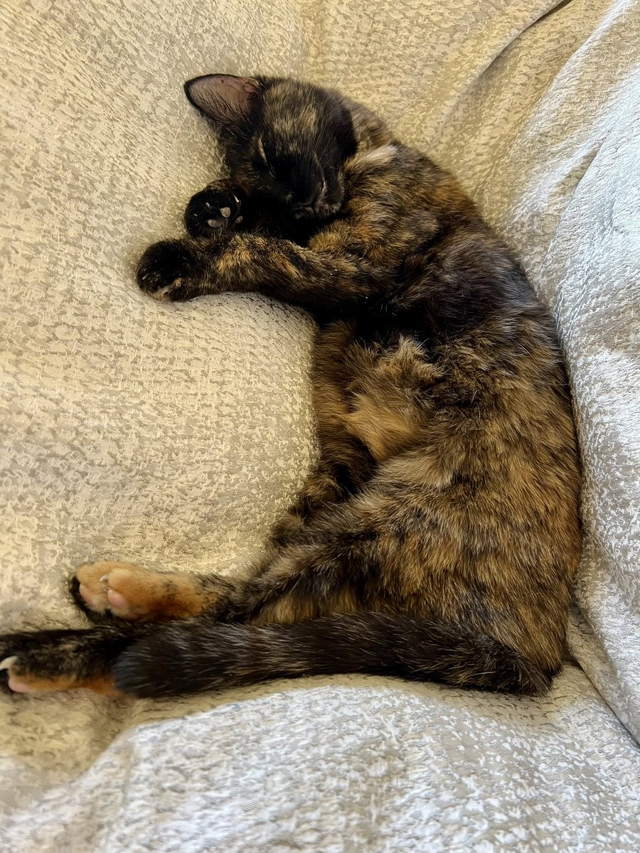 InvestAnswers tweet media