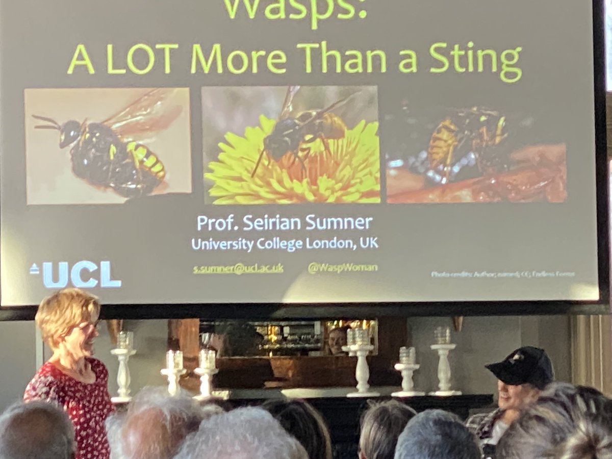 Kate E. Jones 🦇 tweet media