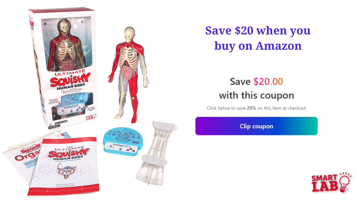 Click the "Buy Now" link to save $20 on our most popular toy!
Buy Now: ow.ly/mnO250J5yLK