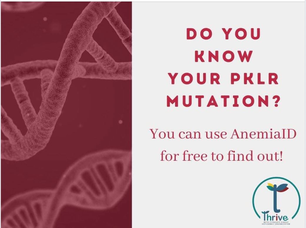TwPKDnonprofit's tweet photo. Not sure what #PKdeficiency mutation you have? Free testing is available at AnemiaID:https://t.co/2Po6MVBpUN
#anemiaID #pyruvatekinasedeficiency #rarediseases #hemolyticanemia #thrive #geneticanemia #hematologist #PKLR #knowledgeispower https://t.co/BHLrSWvxSt