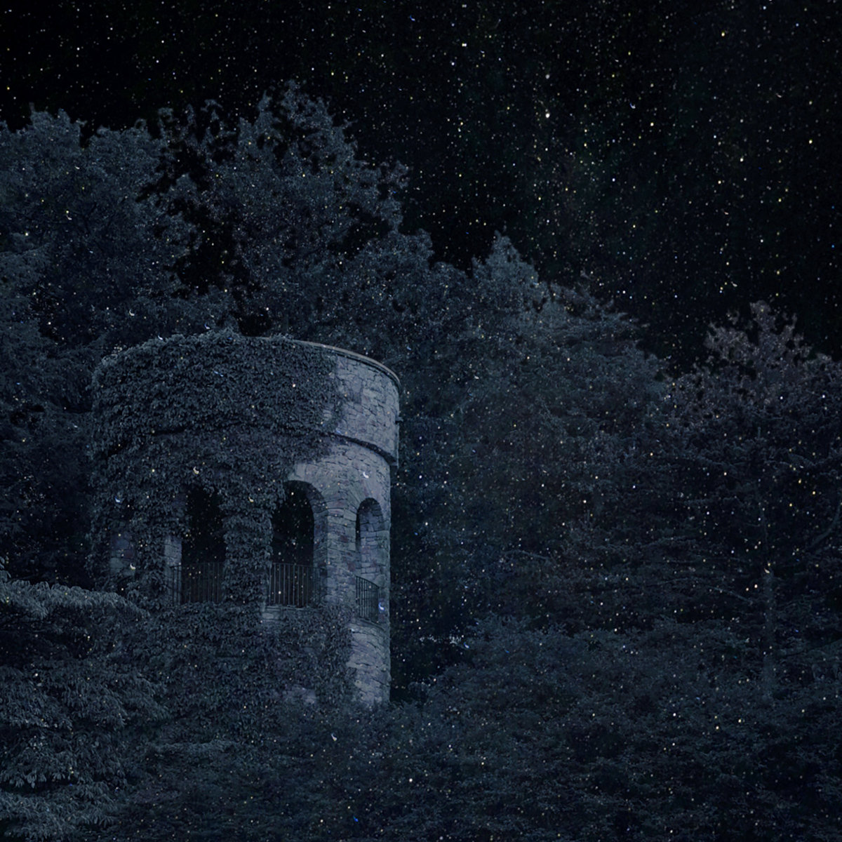 endmusik's tweet photo. For those of you who like your music neoclassical, dark, and moody - tape drop happened last Friday and there's still some available! For fans of DCD/ISN/ITN/WILL and other acronyms #dungeonsynth #darkambient #https://chthonicstreams.bandcamp.com/album/chronicles-of-futures-past https://t.co/de8AArjmg1