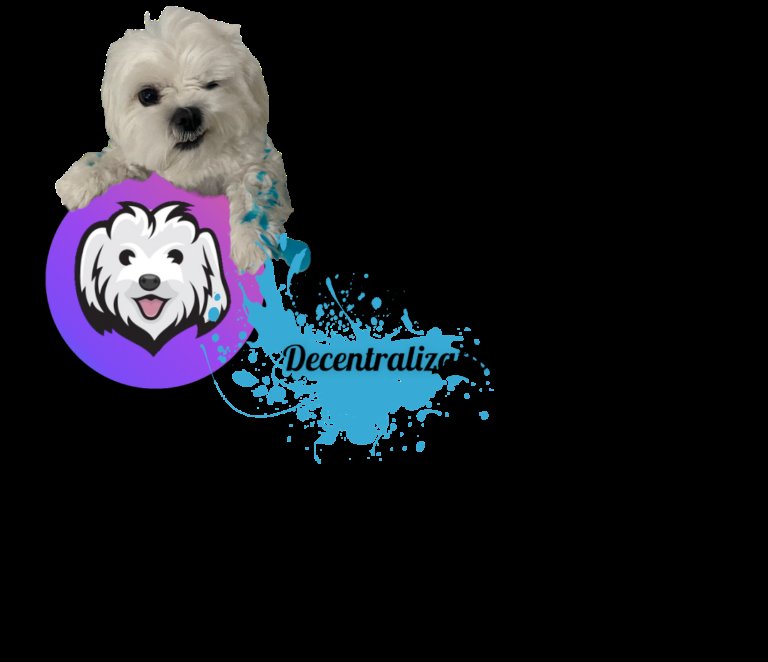 BoltCrypto2's tweet photo. @SolSeaNFT Wow, Maltese Inu also has an ART WALL to display NFT ART, it's their way of creating space for artists &amp; creative people https://t.co/klpD0MA1pF https://t.co/zCsQkuK0zO