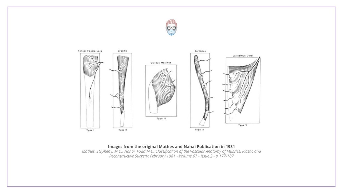 #MidweekMnemonic 

Mathes &amp; Nahai classification... can ANYONE remember it?

This might help ↓

"Get Good Remembering Supply Lines"

· type 1: Gastrocmnemius 
· type 2: Gracilis 
· type 3: Rectus Abdominis 
· type 4: Sartorius 
· type 5: Latissumus dorsi