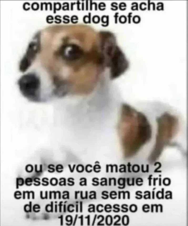 shitpostverdade's tweet photo. https://t.co/UbviiMyClv