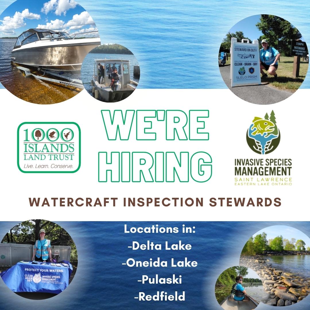 Looking for a summer job that will get you out of the office and making an impact?

Join our team TODAY! tilandtrust.org/careers/curren…

#HIRING