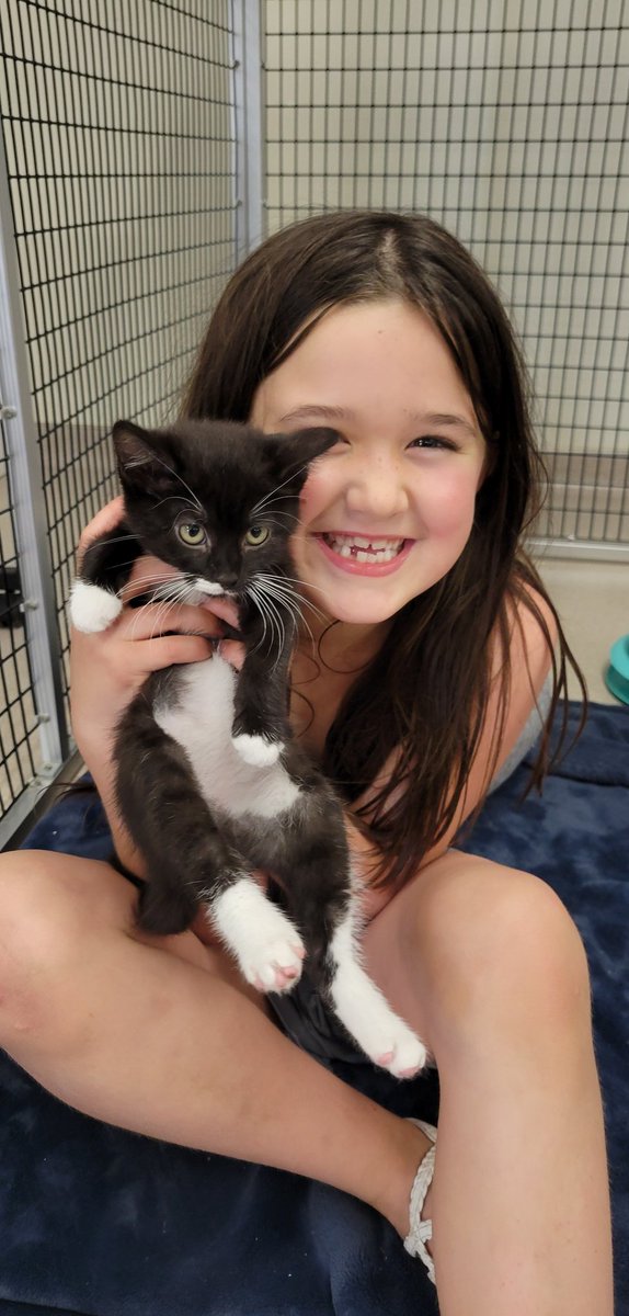 MissGoodwin2G's tweet photo. Our last trip to Paws and More was a success.  We love practicing our reading with the animals at the local shelter.  #washpride https://t.co/u5xidObC5M