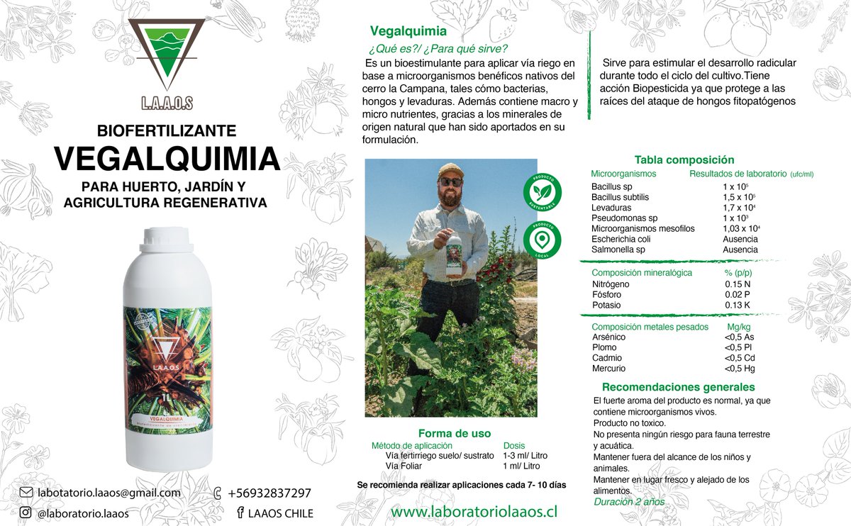 DanielaNashM's tweet photo. Desarrollo de fichas técnicas para Laboratorios L.A.A.O.S, empresa enfocada en la producción de biofertilizantes en base a cultivos de microorganismos de la zona ubicada de la localidad de Limache.

#DiseñoGrafico #DiseñoEditorial #DiseñoChileno https://t.co/iKlfMA6uJj