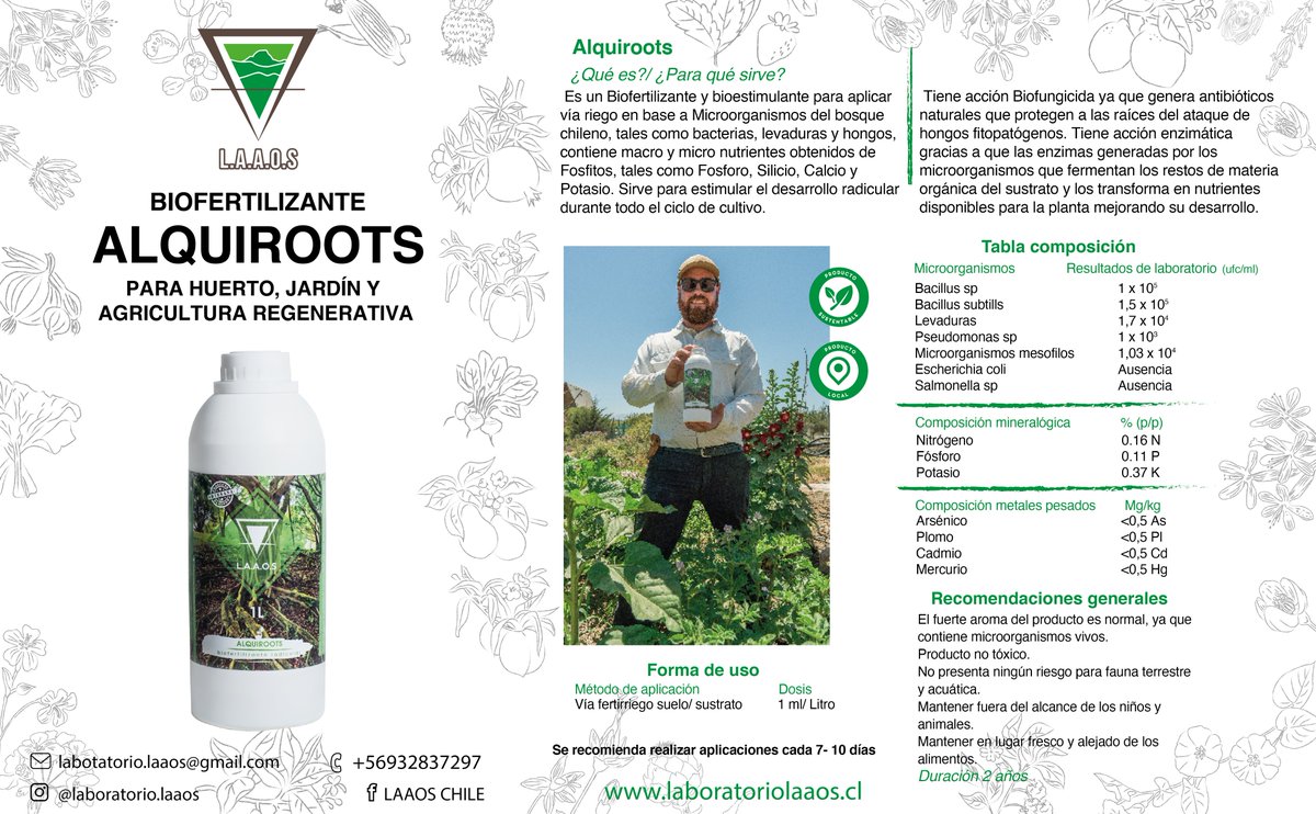 DanielaNashM's tweet photo. Desarrollo de fichas técnicas para Laboratorios L.A.A.O.S, empresa enfocada en la producción de biofertilizantes en base a cultivos de microorganismos de la zona ubicada de la localidad de Limache.

#DiseñoGrafico #DiseñoEditorial #DiseñoChileno https://t.co/iKlfMA6uJj