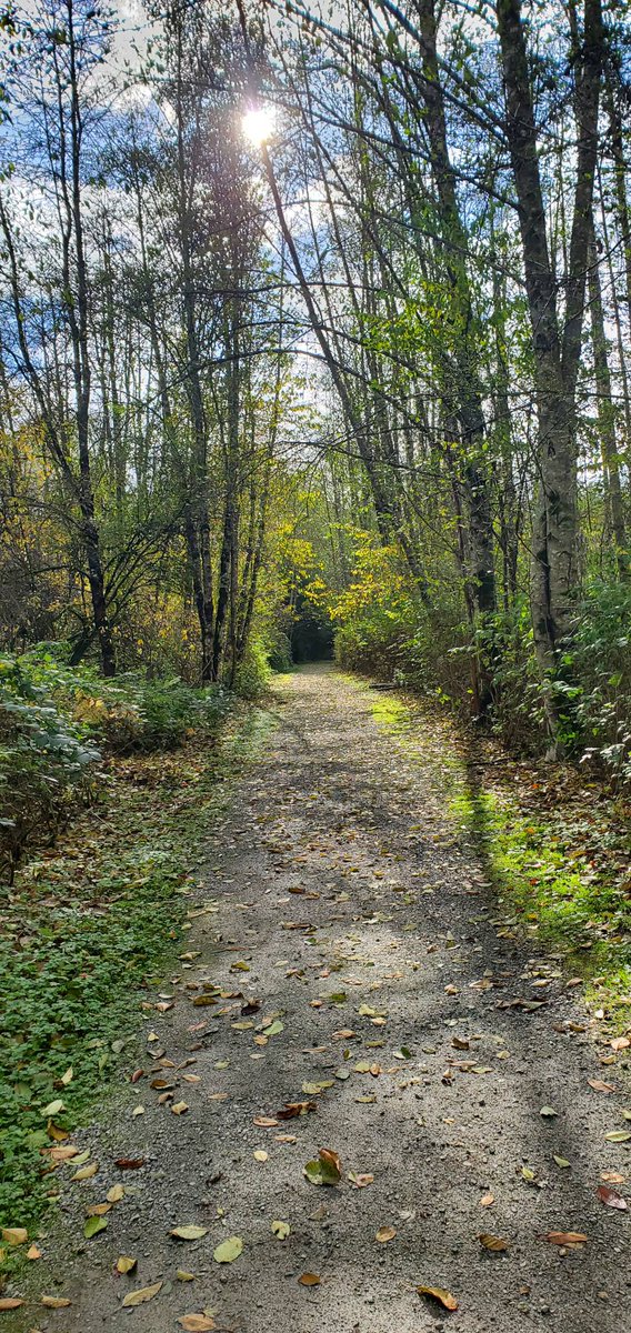 I love when a path looks like an adventure