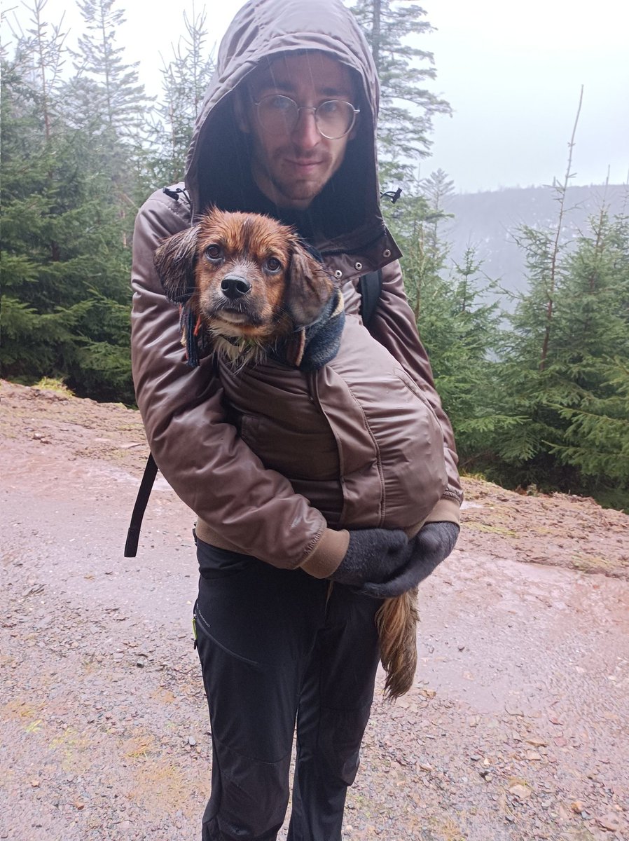 Mario_Vert's tweet image. Me saving my boy from the heavy rain