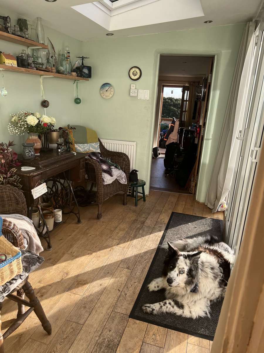 TaffytheBC tweet media