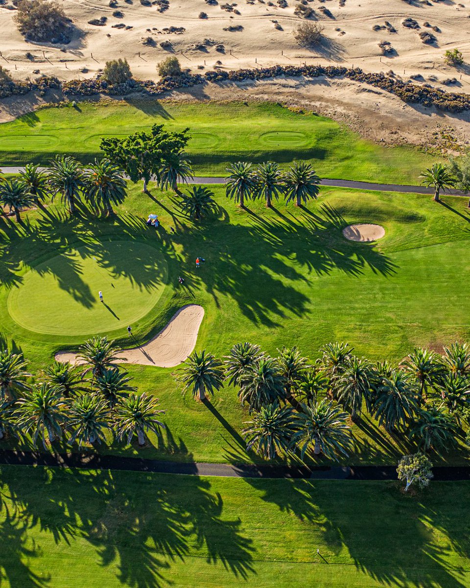 ¿Y si te decimos que durante tu estancia con nosotros podrás practicar tu deporte favorito? 💚

Con el paquete de experiencias Golf &amp; Relax, tus sueños cobrarán vida. 👉🏼 bit.ly/33W04eM