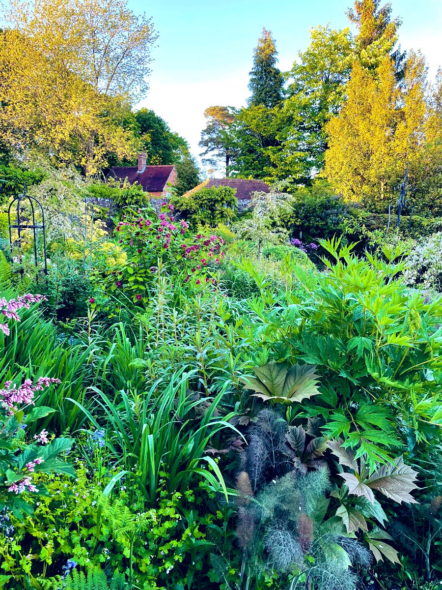 VValentineNews's tweet photo. A whiff of rain & the garden’s gone bananas. If I can find my way out I’ll be with you #livefromfive tomorrow on @BBCOne & for international viewers on @BBCWorld. See you soon. https://t.co/MTQACbIAXc