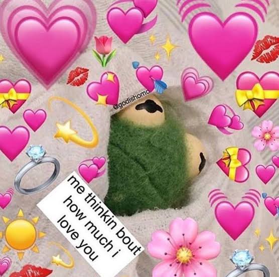 everllartpwk's tweet photo. vim aqui especialmente desejar um feliz aniversário a minha queridíssima amiga @teixdeen !! 
Sim! É possível gostar muito de uma sulista!! https://t.co/Q8ne4772PA