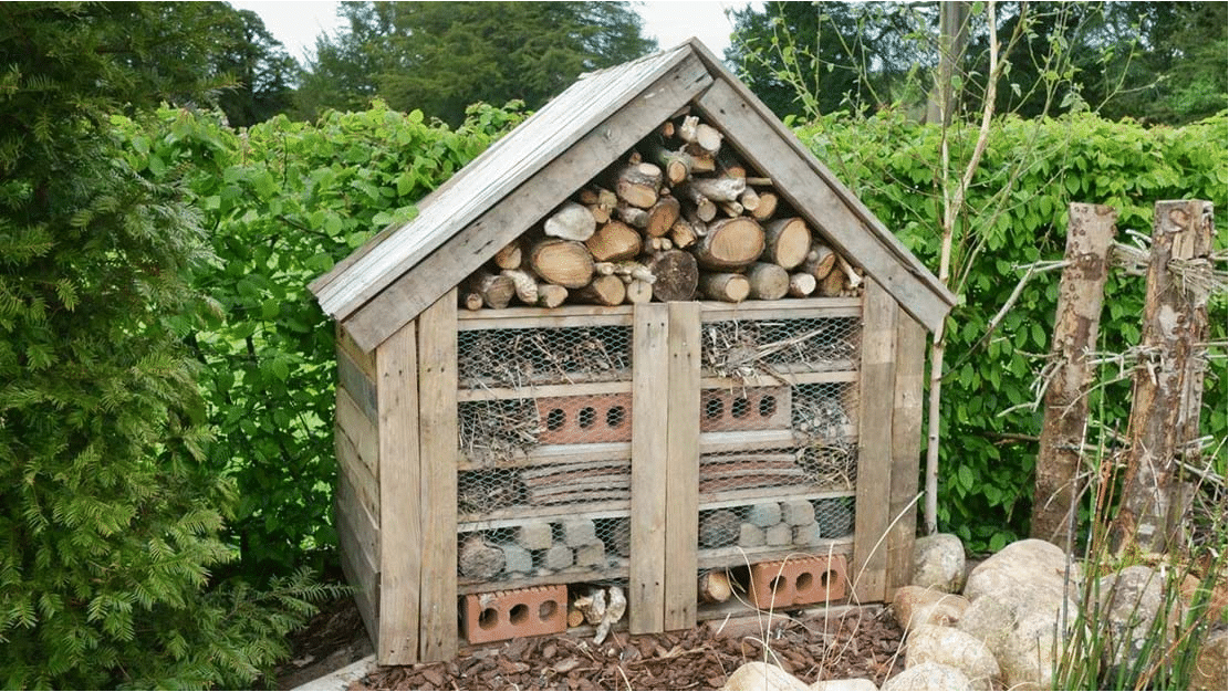 PlantingUp's tweet image. Make Your Own Bug Hotel or Bee House dlvr.it/SQB1Bp