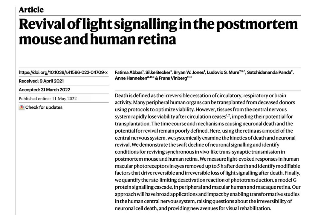 SatchinPanda's tweet photo. If heart &amp; lungs can be donated after death &amp; transplanted, why not the #Retina. 
In this @Nature paper, Anne @scrippsresearch, Frans @UofUNews and our lab @salkinstitute found how to revive some aspects of visual response in the mouse and human retina. 

https://t.co/6St8C0W3yd https://t.co/7pk9J99TOP