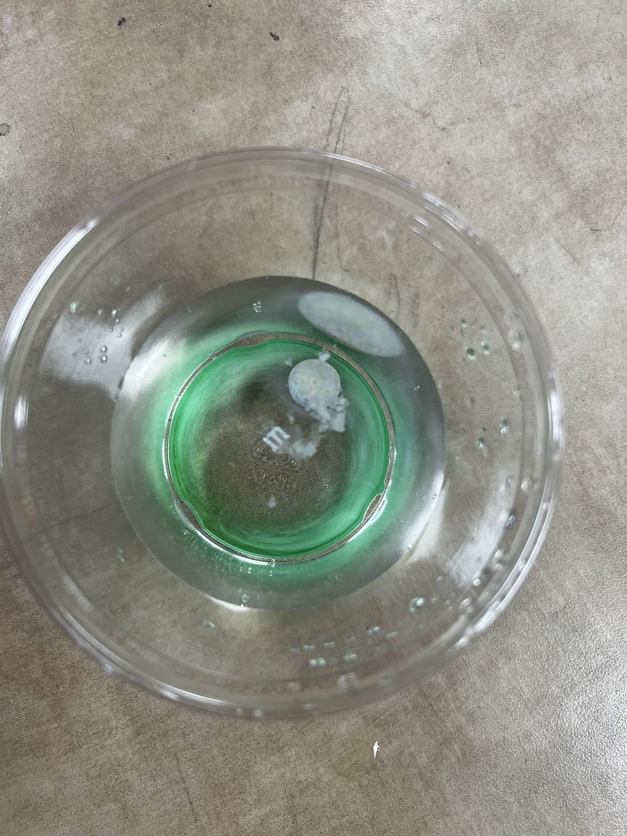 Ms_KatelynH's tweet photo. Science and bubbles?! What an awesome day in Kindergarten 🎉 #countdownuntilsummer #middies #MustangsOnTheMove @AmandaEleTweets @MiddletownOH @MrsVonHolle @MrsSchlueter1 https://t.co/njJjubGSX6